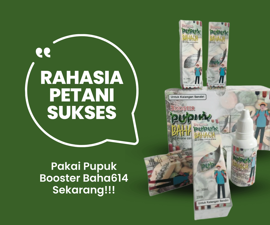 Pupuk Booster Bahagia 23