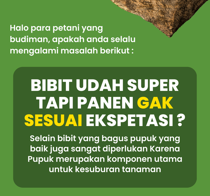 Pupuk Booster Bahagia 3