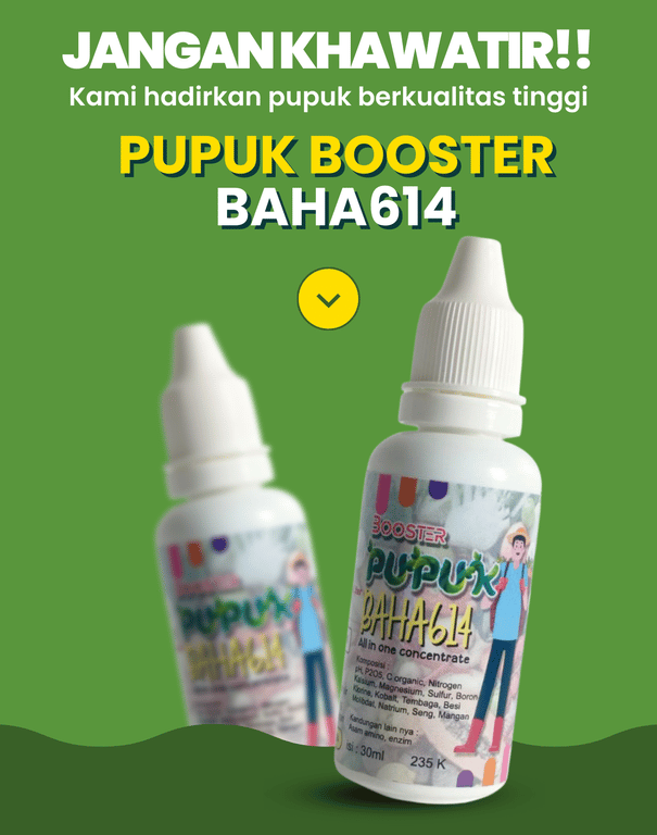 Pupuk Booster Bahagia 5