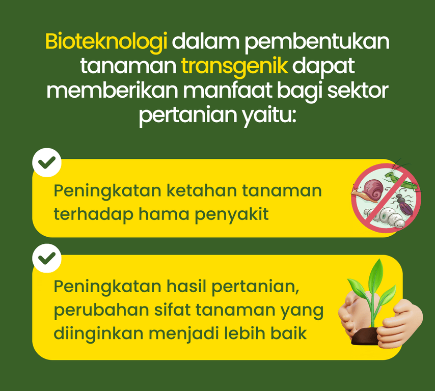 Pupuk Booster Bahagia 11