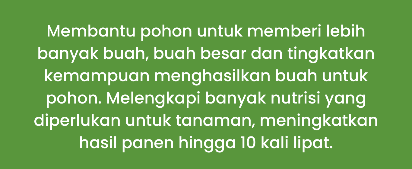 Pupuk Booster Bahagia 15